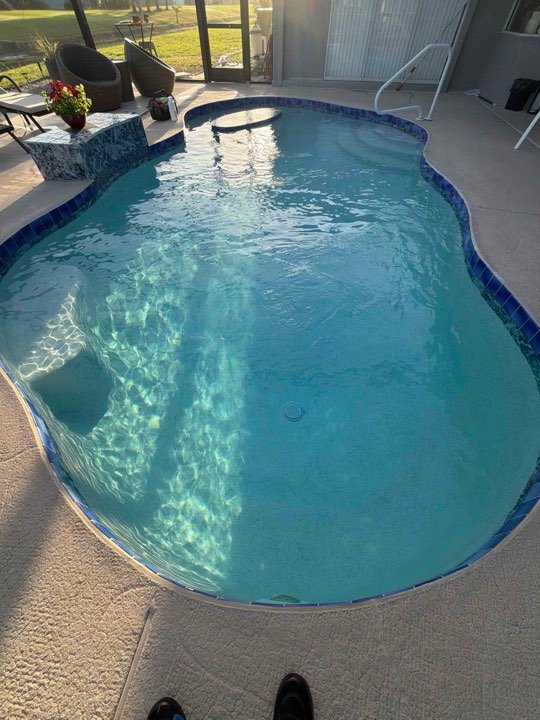 Lynn Rondholz's pool, maintained by Black Flag Pools